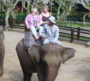 Mit Elefant durch den Dschungel!