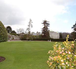 Jardines