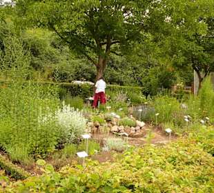 Der Kräutergarten