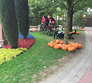 Geschmückt zu Halloween