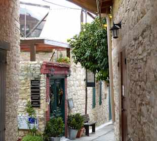Ausflug in das Troodos Gebirge