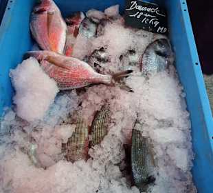 Rundgang über den Wochenmarkt von Port Vendres
