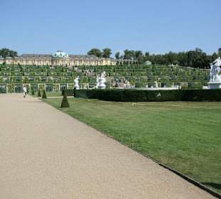 Blick auf Schloß Sanssouci mit Weinbergterrassen