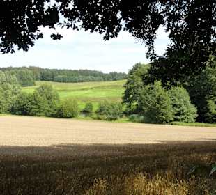 Kulturlandschaft um den Schwanenteich