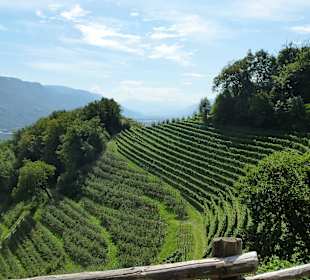 Herrlicher Aussblick