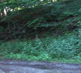 Burgruine Andeck Talheim