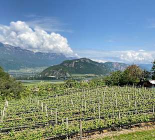 Wandern Trodena / Truden