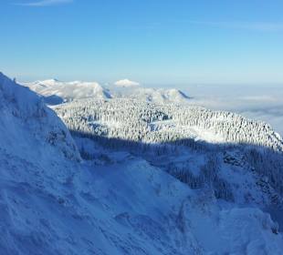 Fadensteig
