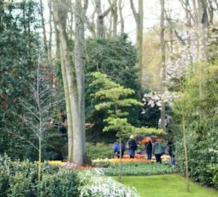Keukenhof