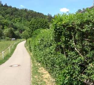 Römische Wasserleitung Obernau