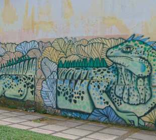 Stadtrundgang San José