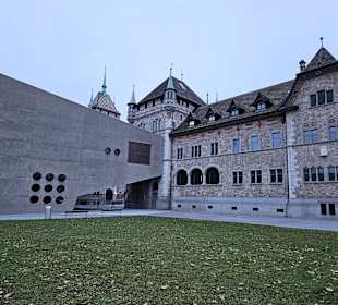 Ansicht vom Platzspitz