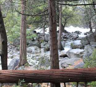 Yosemite Nationalpark