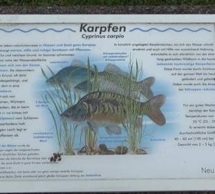 Fischlehrpfad Neu-Ulm