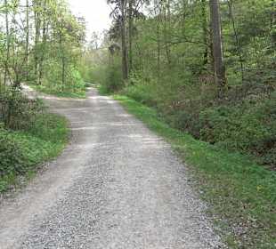 Walderlebnisweg Rottenburg
