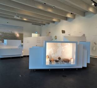 In der Geologie-Abteilung des Museums Lüneburg