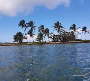 Kleine Insel vor las Galeras