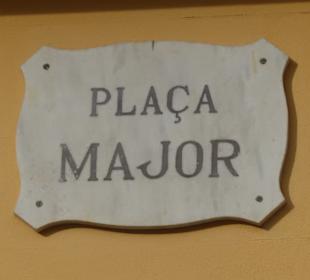 Placa Major