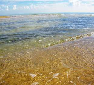 Ende September 2010 Inspirationen