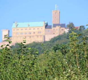 Die Wartburg von Eisenach