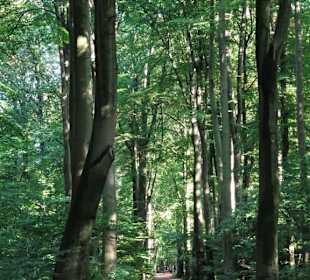 Eindrücke aus dem Gesundheitspark Speckenbüttel