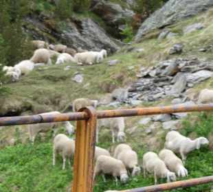 Nordrampe Gaviapass