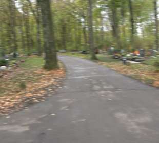 Waldfriedhof