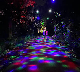 Herbstlichter Brückenkopfpark