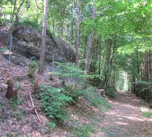 Westwallweg Oberotterbach