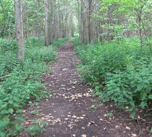 Wanderrunde Emeringen zum Rechtenstein