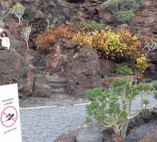 Jameos del Agua 