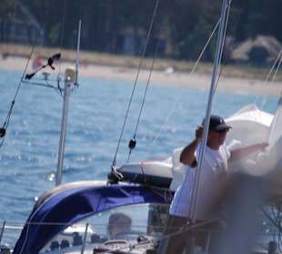 Skipper in Not