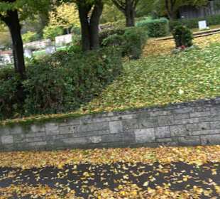 Friedhof Unterlenningen