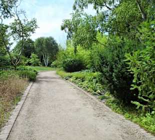 Impressionen aus dem Botanischen Garten Düsseldorf
