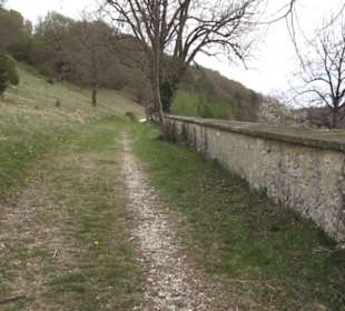 Burgruine Hohenhundersingen