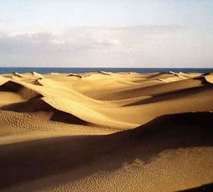Dünen von Maspalomas
