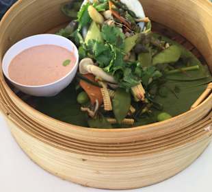 Meerwolf/Loup de mer