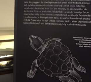 Dinosaurier Museum Altmühltal