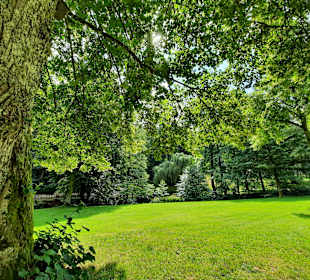 Kurpark