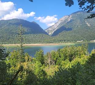 Wandern Kössen