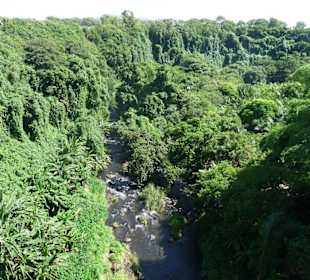 Black River Gorges NP