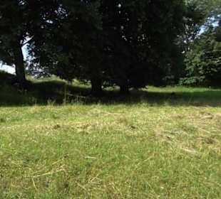 Burgruine Niederhaus