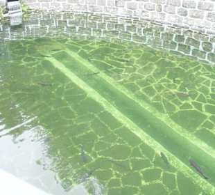 Madeira Lido Osten-Tour 