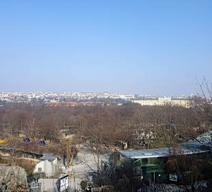 Blick über den Tiergarten zum Schloss