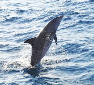 Sonnenuntergangstour