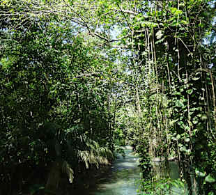 Floßfahrt auf dem Martha Brae River