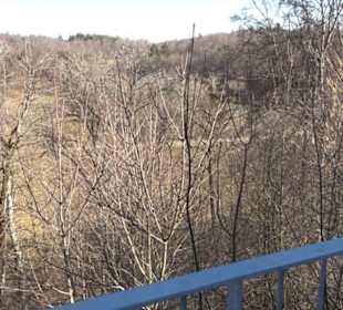 Burgruine Hohenstein