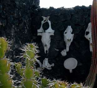 Haus von Cesar Manrique