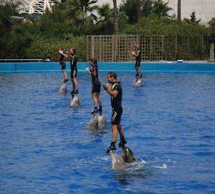 Aquarium L’Oceanogràfic