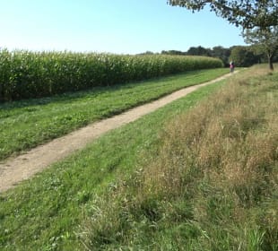 Kelten-Erlebnis-Pfad Erkenbrechtsweiler